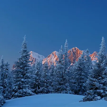 Pensionat Haus Petersmann Ramsau am Dachstein