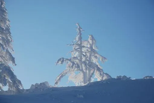 Guest house Haus Petersmann